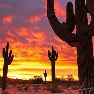 Meet your Posher, Anita l.